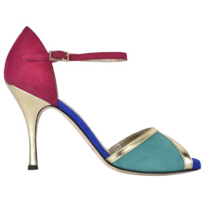 multicoloured woman's tango shoe