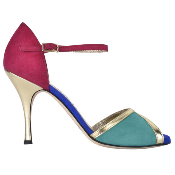 multicoloured woman's tango shoe