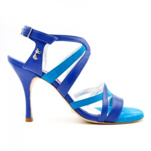 Blue suede & leather tango shoe